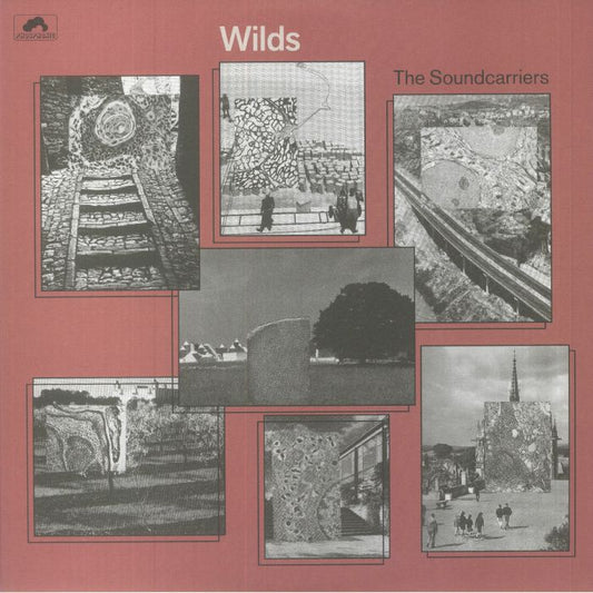 Wilds - Vinyl LP vinyl record cover