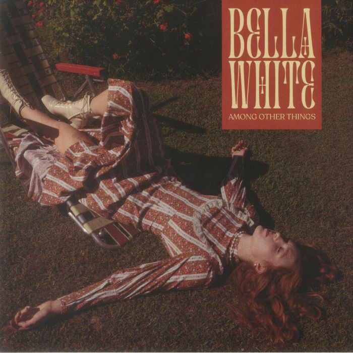 Among Other Things - Swirl Vinyl LP vinyl record cover