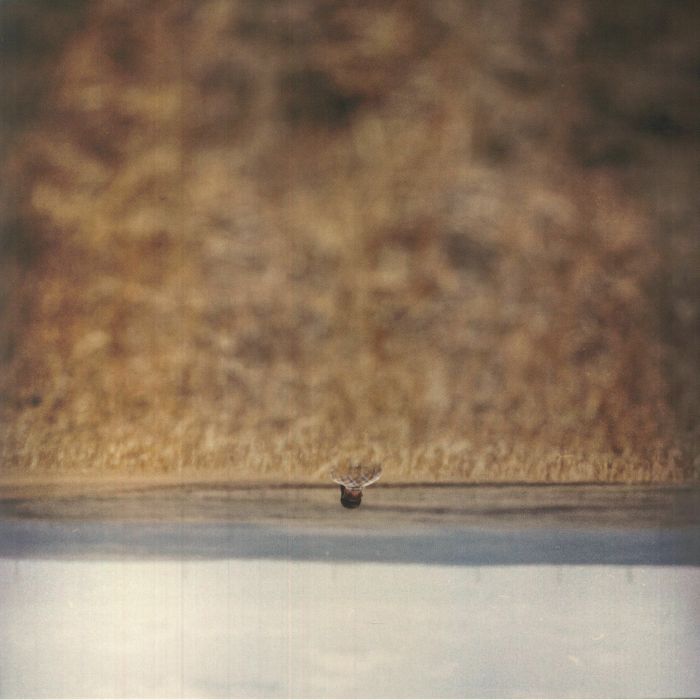 Hands That Bind (Soundtrack) - Vinyl LP vinyl record cover