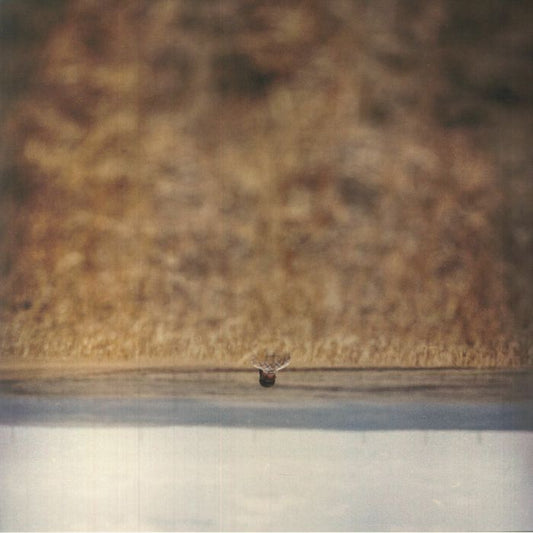 Hands That Bind (Soundtrack) - Vinyl LP vinyl record cover