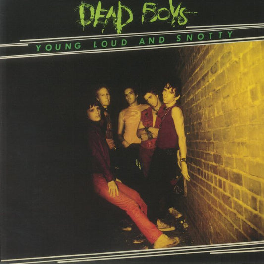 Young Loud & Snotty - Vinyl LP vinyl record cover