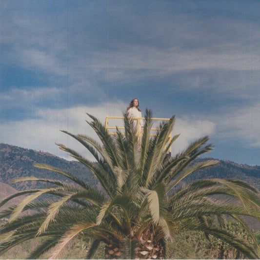 Love Hallucination - Vinyl LP vinyl record cover