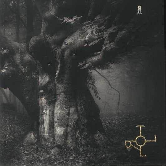 Troll - Vinyl LP vinyl record cover
