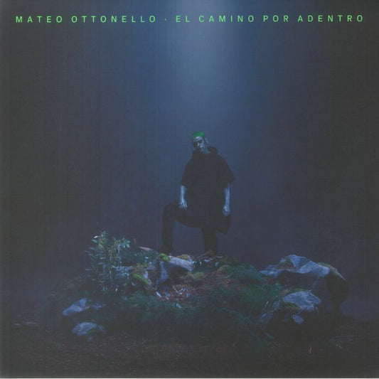 El Camino Por Adentro - Vinyl LP vinyl record cover