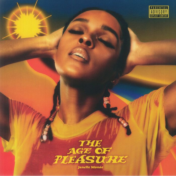 The Age Of Pleasure - Vinyl LP vinyl record cover