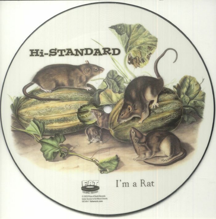 I'm A Rat - Limited Edition Picture Disc Vinyl Single vinyl record cover
