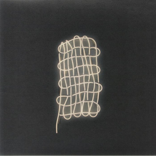 Plural Not Possessive - Vinyl LP vinyl record cover