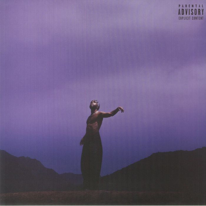 Since I Have A Lover - Limited Edition Pink Vinyl 2xLP vinyl record cover