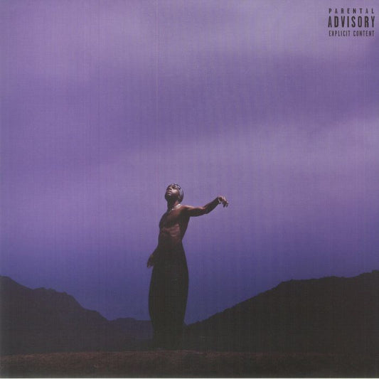 Since I Have A Lover - Limited Edition Pink Vinyl 2xLP vinyl record cover