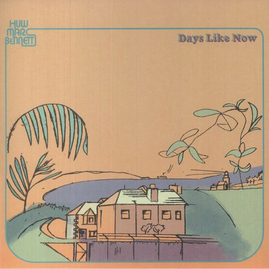 Days Like Now - Vinyl LP vinyl record cover