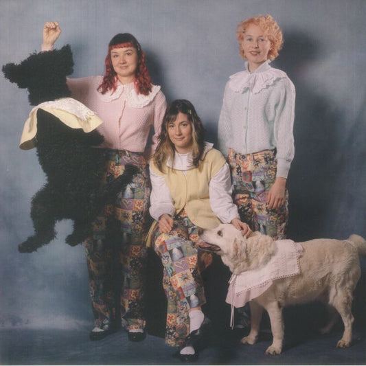 The Good Life - Vinyl LP vinyl record cover
