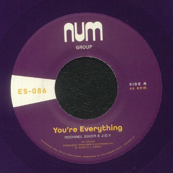 You're Everything - Purple Vinyl Single vinyl record cover