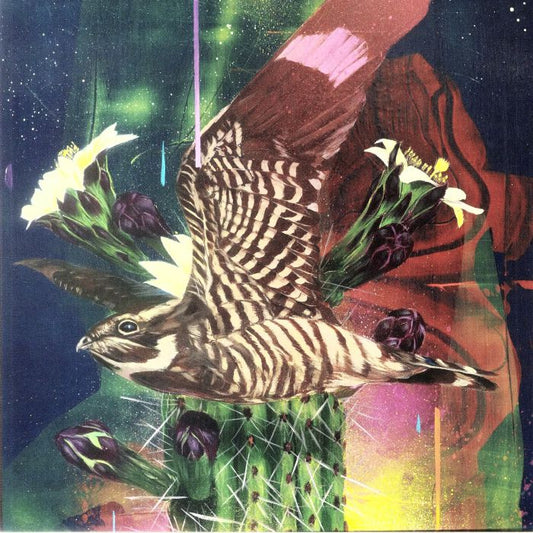 Playa Larga - Vinyl Single vinyl record cover