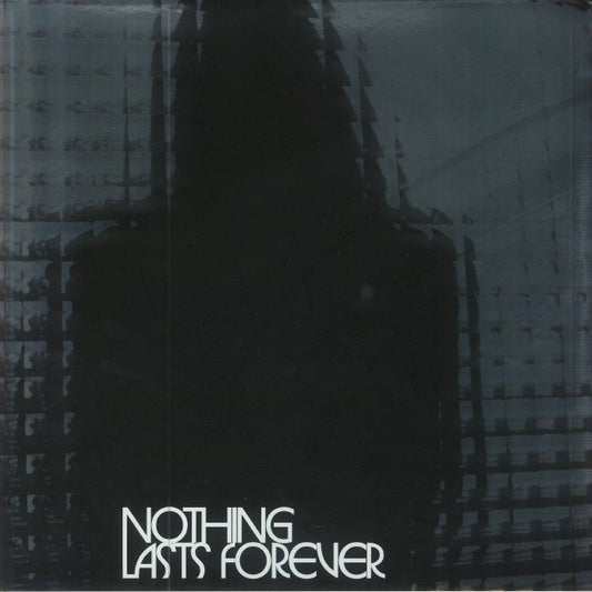Nothing Lasts Forever - Vinyl LP vinyl record cover