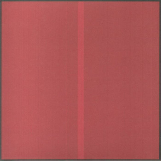 Struggler - Vinyl LP vinyl record cover