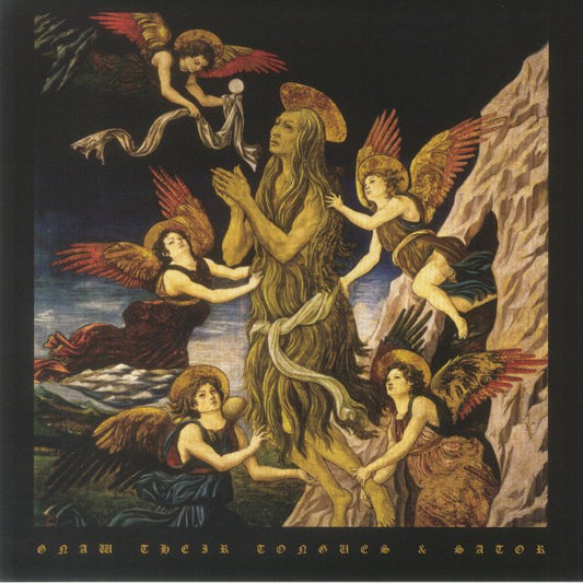 Gnaw Their Tongues & Sator - Limited Edition Gold Vinyl LP vinyl record cover
