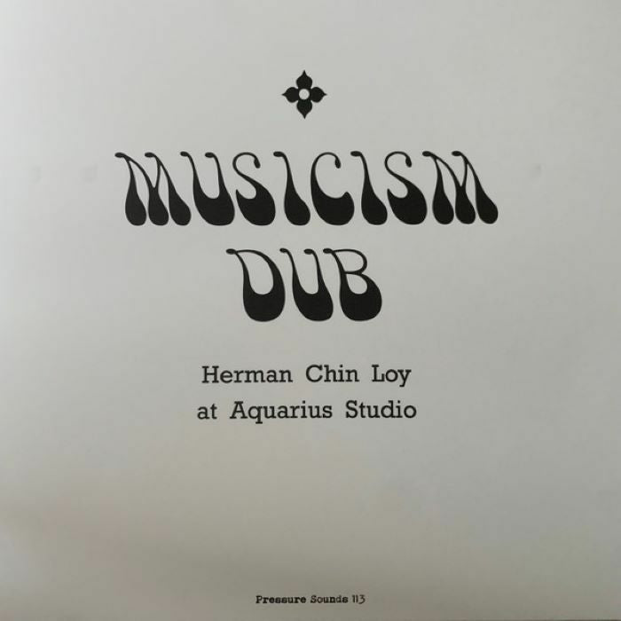 Musicism Dub - 2xLP vinyl record cover