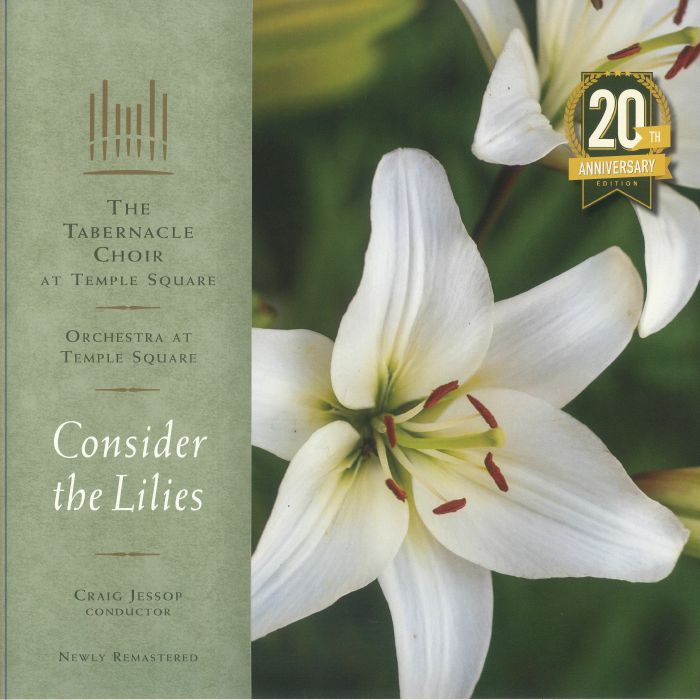 Consider The Lilies - 20th Anniversary Edition 2xLP vinyl record cover
