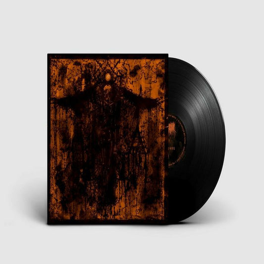 Sky Bvrial - Vinyl LP vinyl record cover