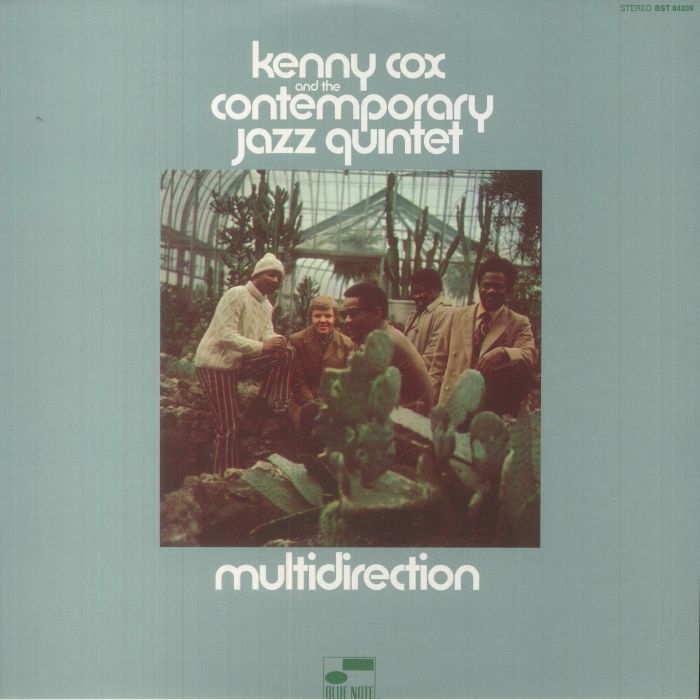 Multidirection - Vinyl LP vinyl record cover
