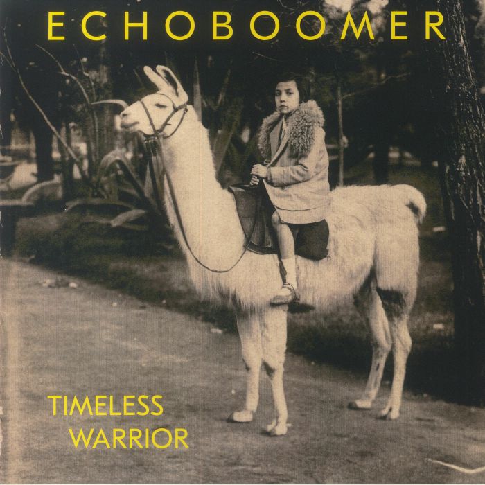 Timeless Warrior - Limited Edition Vinyl LP vinyl record cover