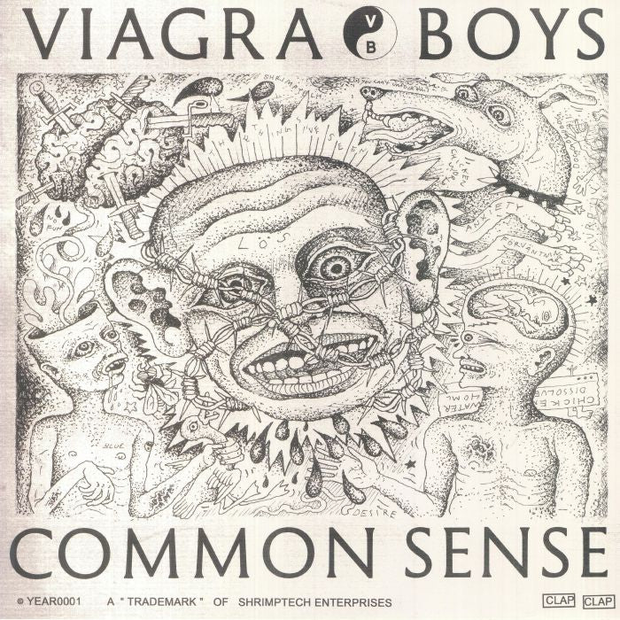 Common Sense - Vinyl EP vinyl record cover
