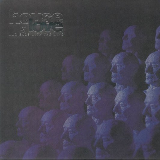 Audience With The Mind - Vinyl LP vinyl record cover