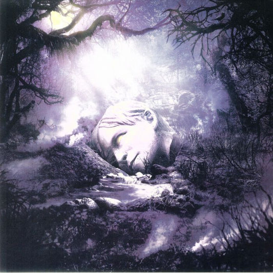 SZNZ: Autumn - Vinyl LP vinyl record cover