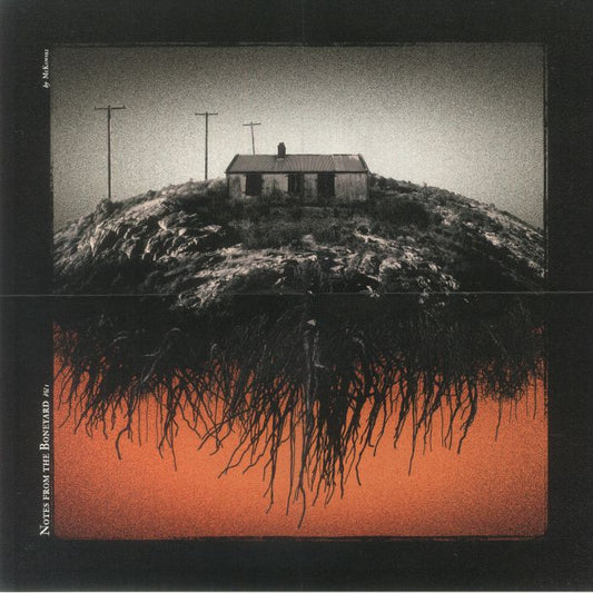 Notes From The Boneyard Vol 1 - Orange Vinyl LP vinyl record cover