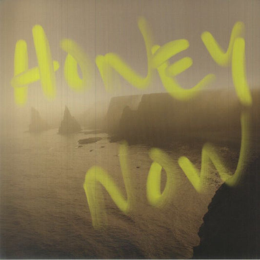 Honey Now - Vinyl LP vinyl record cover