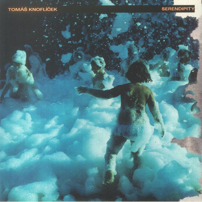 Serendipity - Vinyl LP vinyl record cover