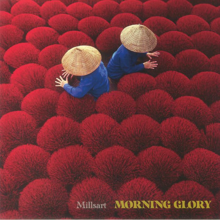Morning Glory - Vinyl 12 Inch vinyl record cover