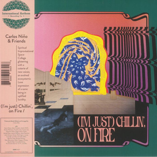 (I'm Just) Chillin' On Fire - Pink Vinyl 2xLP vinyl record cover