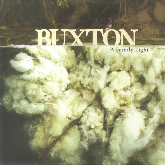 A Family Light - 15th Anniversary Edition Clear Vinyl 2xLP vinyl record cover