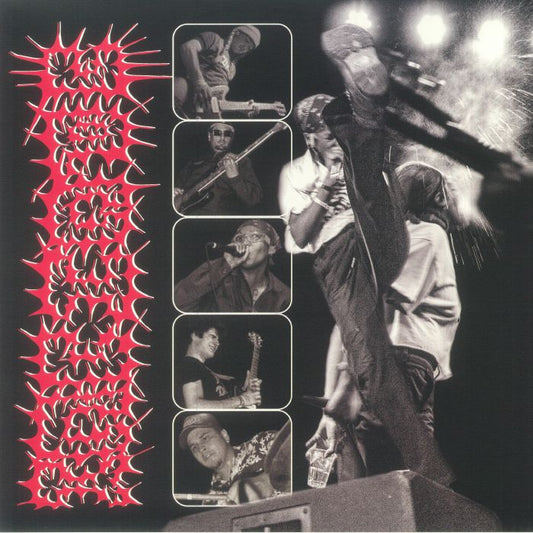 Bite The Hand That Feeds - Limited Edition Vinyl LP vinyl record cover