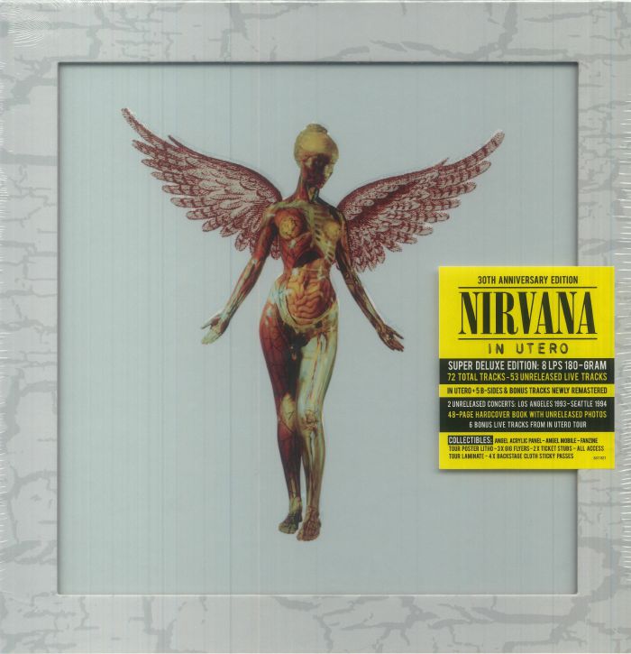 In Utero (30th Anniversary Edition) - 8xLP Box Set vinyl record cover