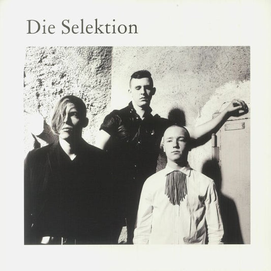 Die Selektion - Vinyl LP vinyl record cover