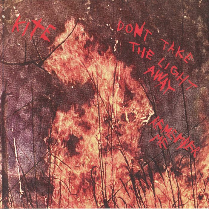 Don't Take The Light Away - Vinyl Single vinyl record cover