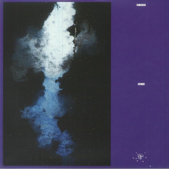 Blight Year - Vinyl LP vinyl record cover