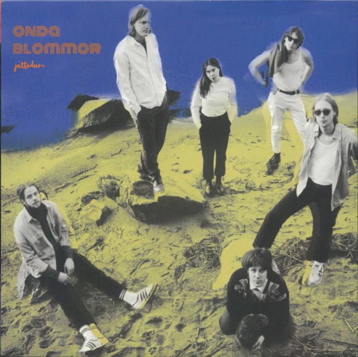 Onda Blommor - Limited Edition Vinyl LP vinyl record cover