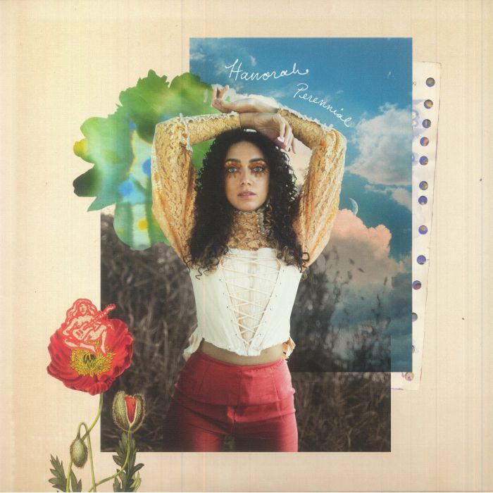 Perennial - Vinyl LP vinyl record cover