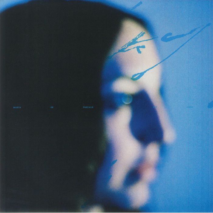 Sky Flesh - Vinyl LP vinyl record cover