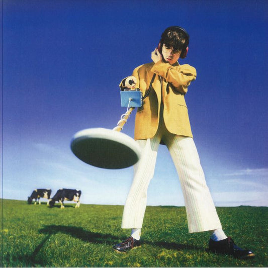 What Happened To The Beach? - Limited Edition Yellow Vinyl LP vinyl record cover