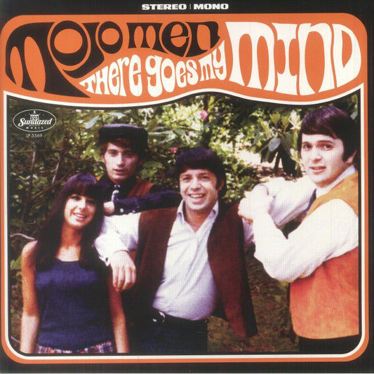 There Goes My Mind - Vinyl LP vinyl record cover