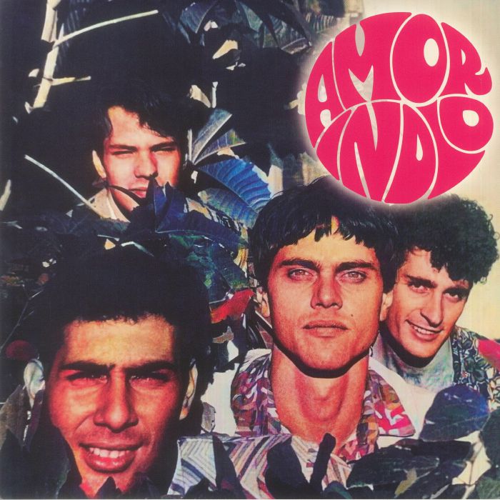 Amor Indio - Vinyl LP vinyl record cover