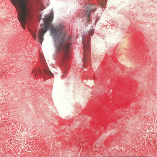 Moonlight Shadoh - Vinyl LP vinyl record cover