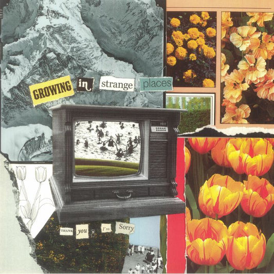 Growing In Strange Places - Orange Crush Vinyl LP vinyl record cover