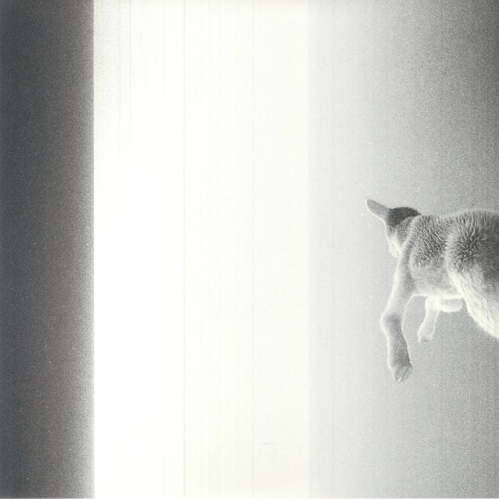 Keep Looking Where The Light Comes From - Vinyl LP vinyl record cover