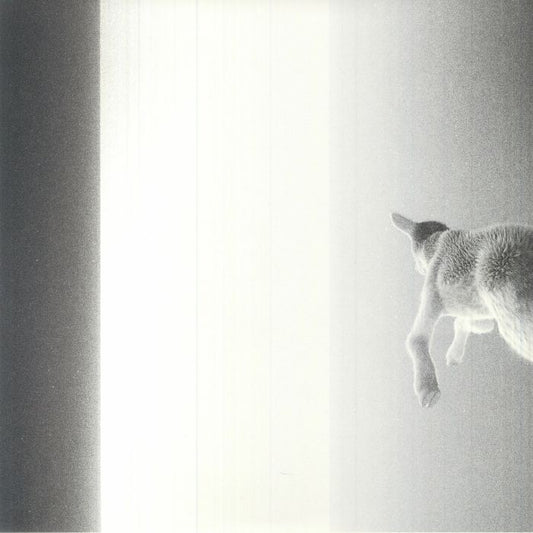 Keep Looking Where The Light Comes From - Vinyl LP vinyl record cover