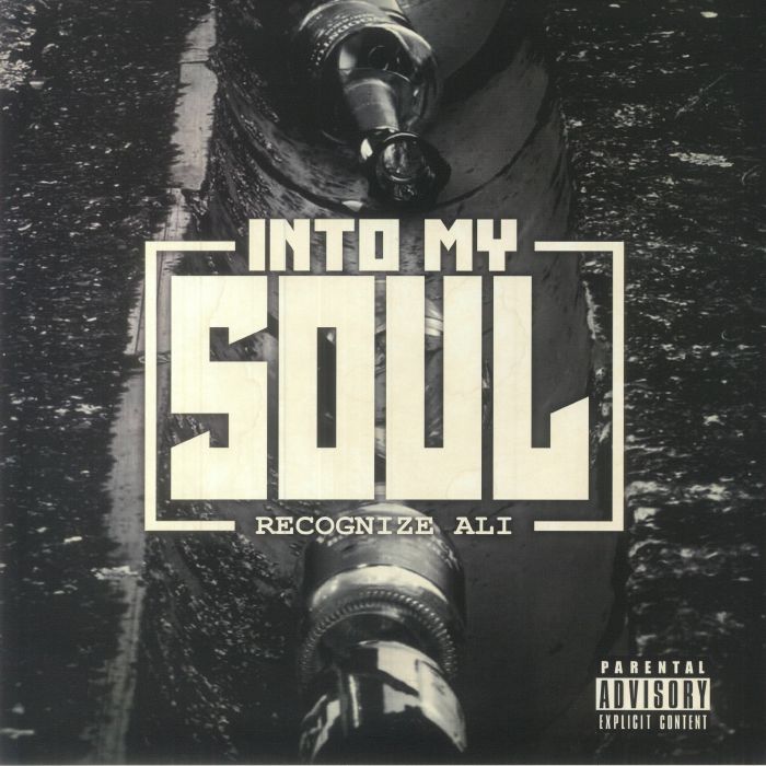 Into My Soul - Limited Edition Vinyl LP vinyl record cover